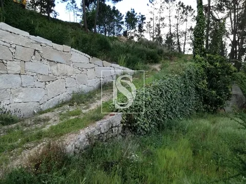 Terreno Rústico