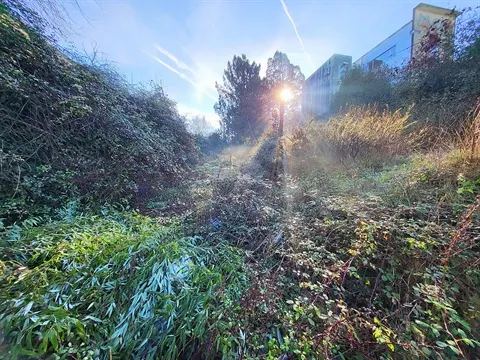 Terreno