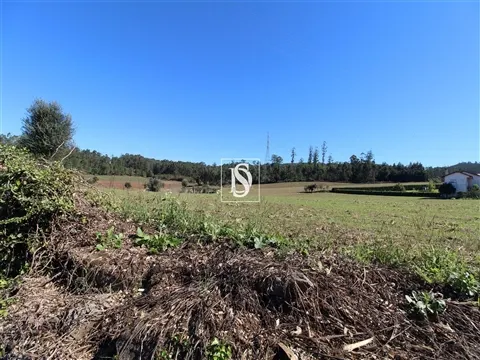 Terreno Venda