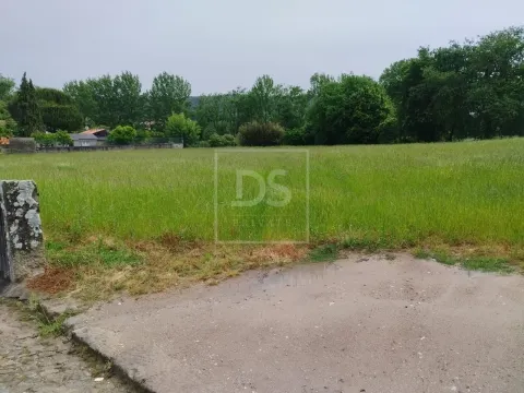 Terreno Misto