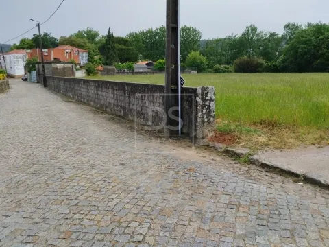 Terreno Misto