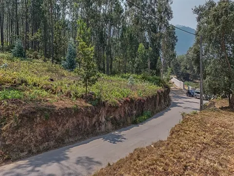 Terreno