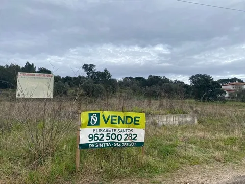 Terreno