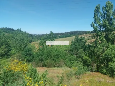 Terreno Rústico