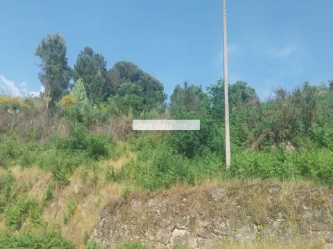 Terreno Rústico