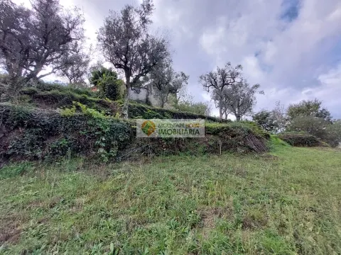 Piccola Fattoria 3 Vani