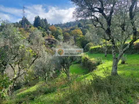 Piccola Fattoria 3 Vani