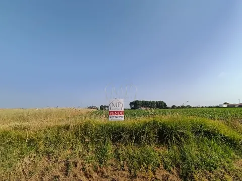 Terreno Rústico com 1380m2 e 15 de frente em Ilhavo.