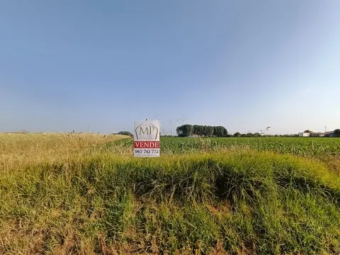 Terreno Rústico com 1380m2 e 15 de frente em Ilhavo.
