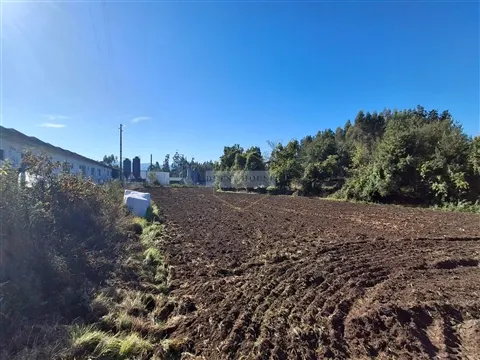 Real Estate