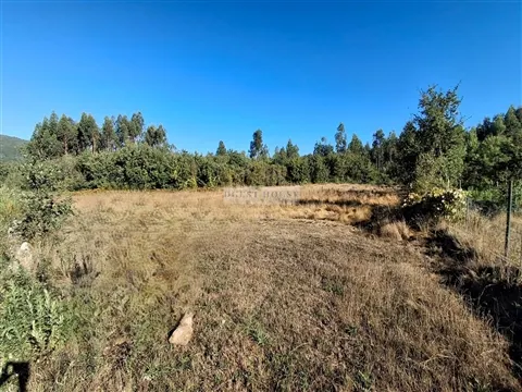 img_5