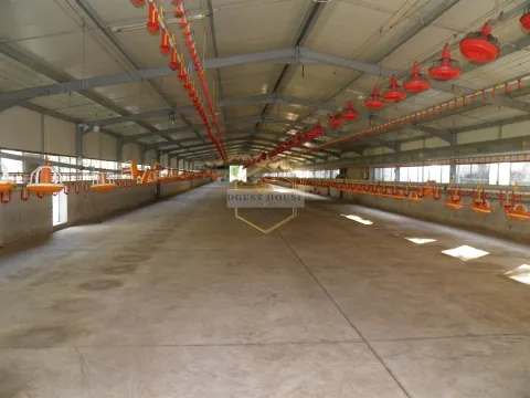 AVIÁRIO COM TERRENOS RÚSTICOS