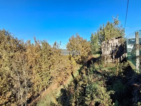 Terreno com viabilidade de construção