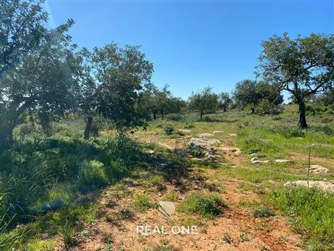 Terreno com 50.260 m2 com ruina de 180 m2