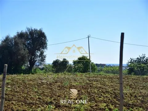 Farm with project for Rural Hotel - Albufeira