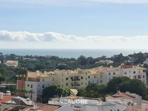 3 bedroom apartment with sea view and excellent terraces