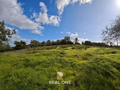 Terreno Misto com ruina, 21.760m² em Vale de Parra 