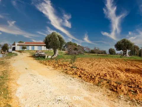 Villa privada com terreno 120.000 m2