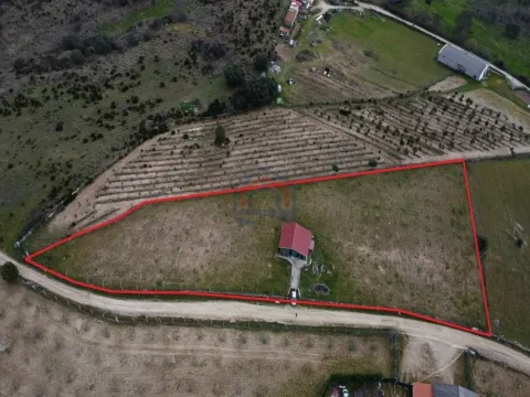 Terreno com arvores de fruto e uma construção, em Miranda do Douro.