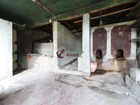 Vivienda 5 habitaciones