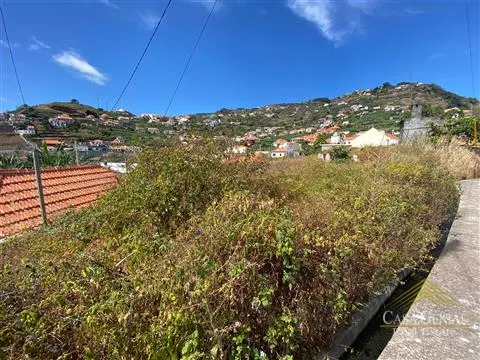 Piece of Real Estate