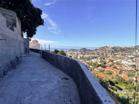 img_6