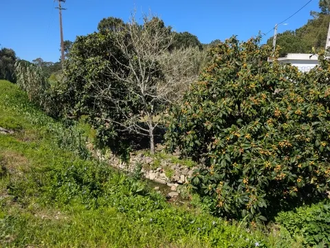 Terreno urbano en Sintra