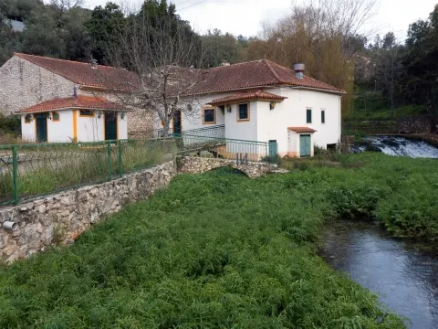 Farm for sale – unique riverside property – in Redinha, Pombal