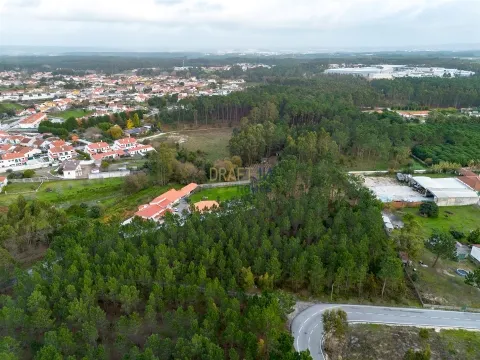 Terreno destinado a construção, sito em Trutas | Marinha Grande