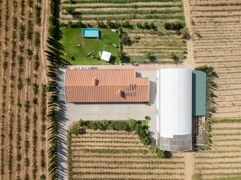 Quinta Biológica - Monte de Palma em Sao Manços com negócio.