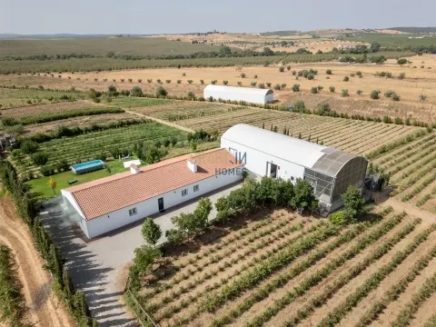 Quinta Biológica - Monte de Palma em Sao Manços com negócio.