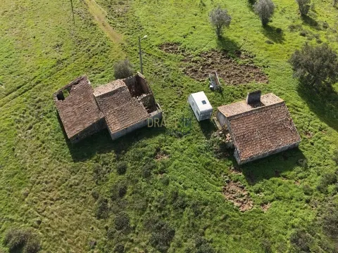 11.5-Hectare Farm in Alentejo