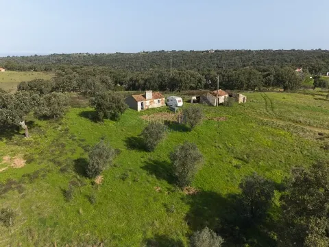 11.5-Hectare Farm in Alentejo