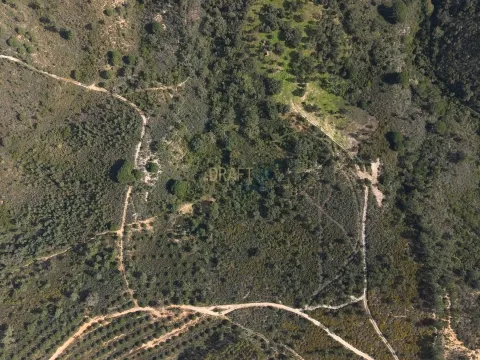 10 Hektar großes Anwesen in Melides