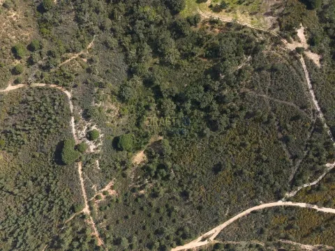 10 Hektar großes Anwesen in Melides