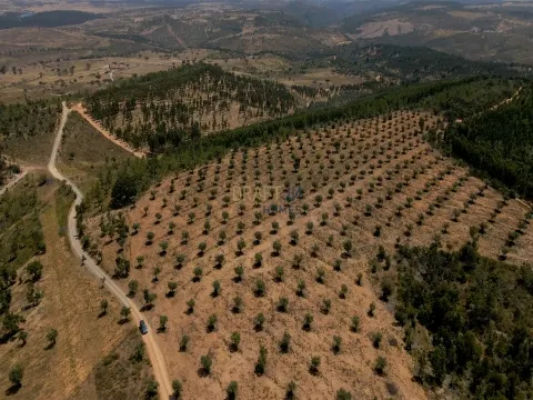 img_2