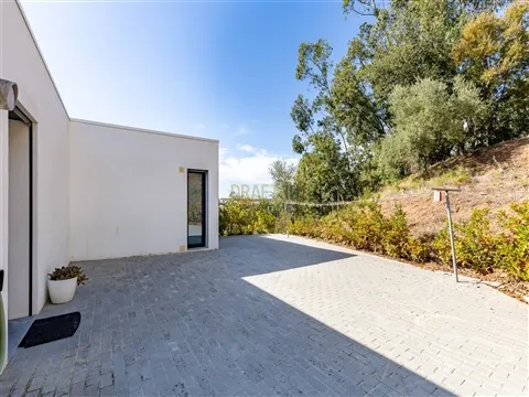 img_8