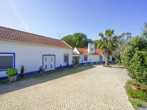 Fattoria in Alentejo