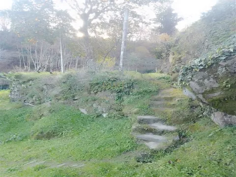 Terrain rustique à Cinfães - Viseu Terrain à vendre à Cinfães - Viseu