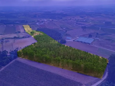 Haus 3 Schlafzimmer in Moita dos Ferreiros, Lourinhã.