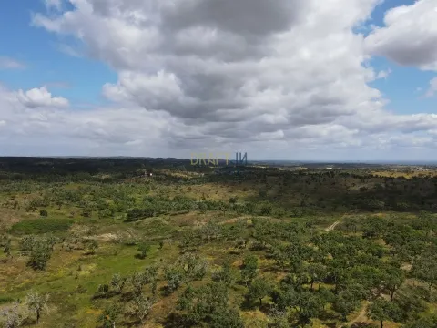 Terreno rústico de 32 hectáreas.