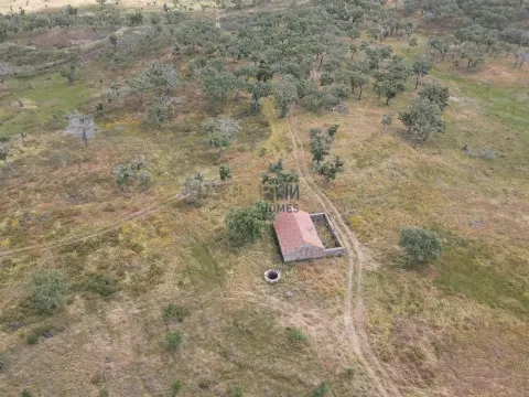 Terreno rústico de 32 hectáreas.