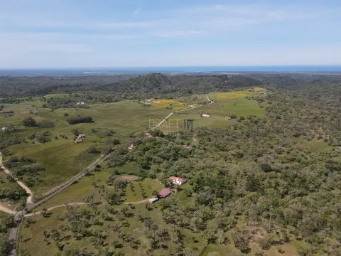 Terreno rústico en la costa del Alentejo.