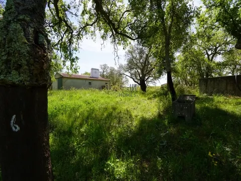 Terreno rústico en la costa del Alentejo.