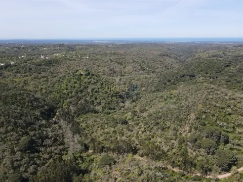 Terreno rustico sulla costa dell´Alentejo