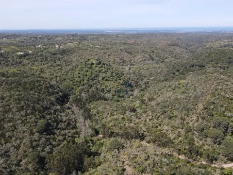 Terreno rustico sulla costa dell´Alentejo