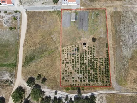 Terreno mixto en Alentejo