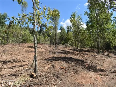 Terreno per Costruzione