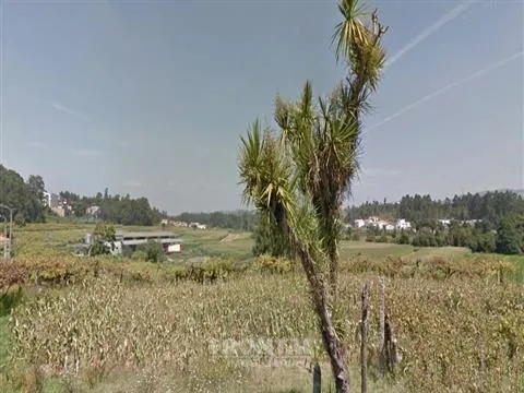 Terreno com 8.100 m² -  Zona Residencial | Campo, Valongo