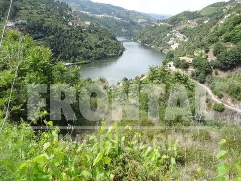 Terreno Único com Potencial Habitacional ou Agrícola &#124; Santa Marinha do Zêzere, Baião